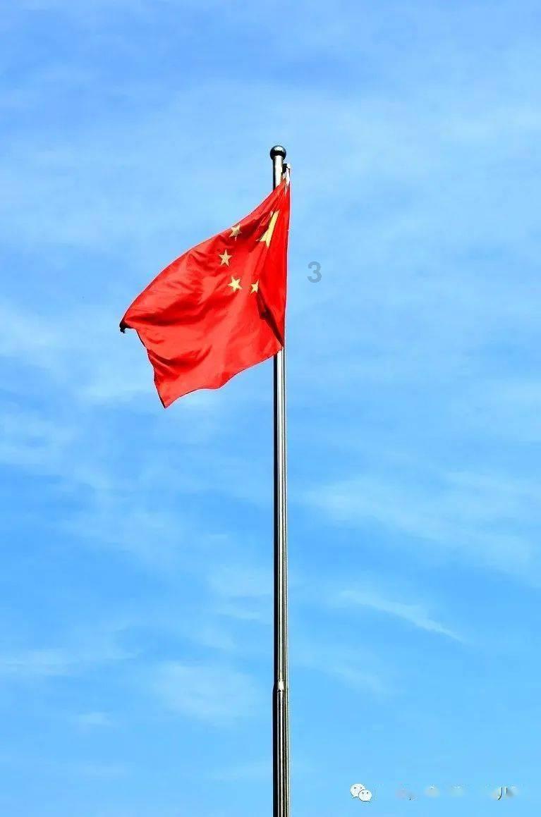 沙皮狗逃离
