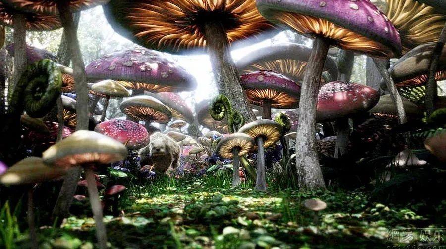 破碎的沉默